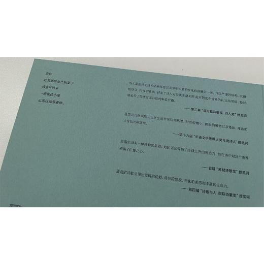 纯粹·我在所有的秘密里爱你(蓝蓝) 商品图4