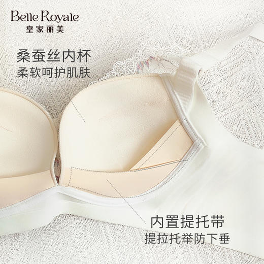 皇家丽美新款刺绣无钢圈文胸小胸聚拢B罩杯女士内衣WW2F12-3 商品图2