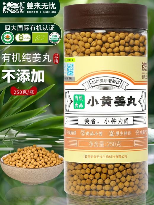 姜来无忧姜丸 两罐装 正宗云南有机小黄姜丸纯姜丸原始点姜丸姜粉生姜丸子 商品图0