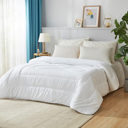 罗莱  欣雅蚕丝春秋被200*230cm 商品图0