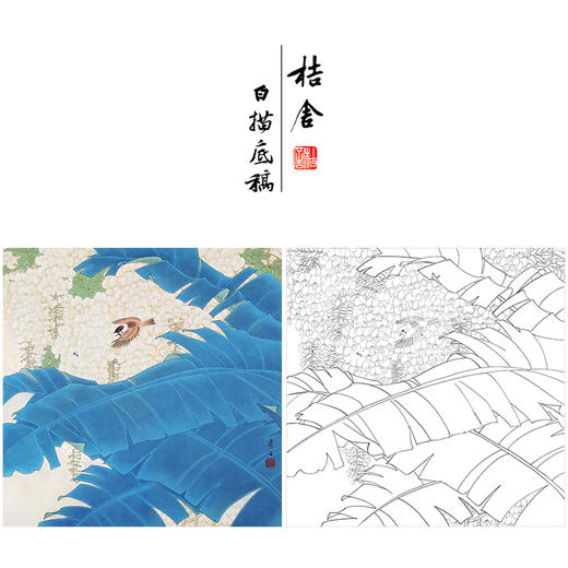 周彦生花鸟工笔画白描底稿《花鸟》临摹勾线高清打印稿A659 商品图0