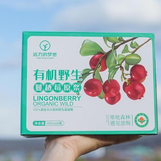 有机野生蔓越莓原浆 1瓶=400颗野生蔓越莓 商品图2