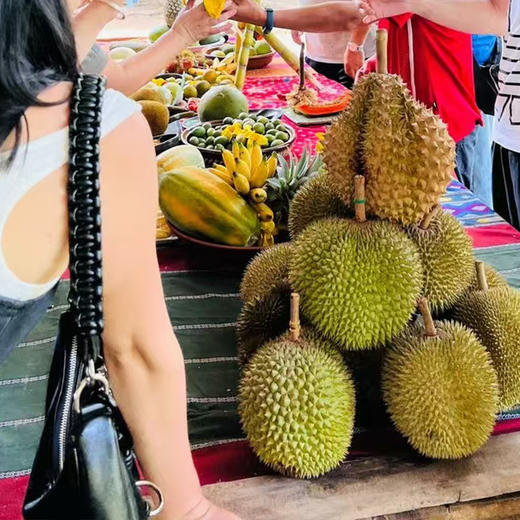 马来西亚 亚庇 水果园-榴莲园 半日游 商品图3