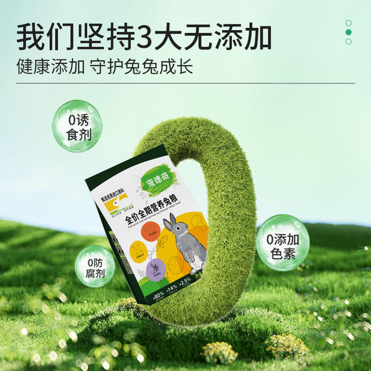 宠德奇兔粮低淀高纤美毛进口牧草全期粮 商品图4