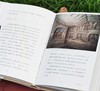 《不可错过的中国石窟》，全5册，小32开，精装，赵昆雨等著，江苏凤凰美术出版社2022-2024年版，定价:490，售价：240元。 商品缩略图7
