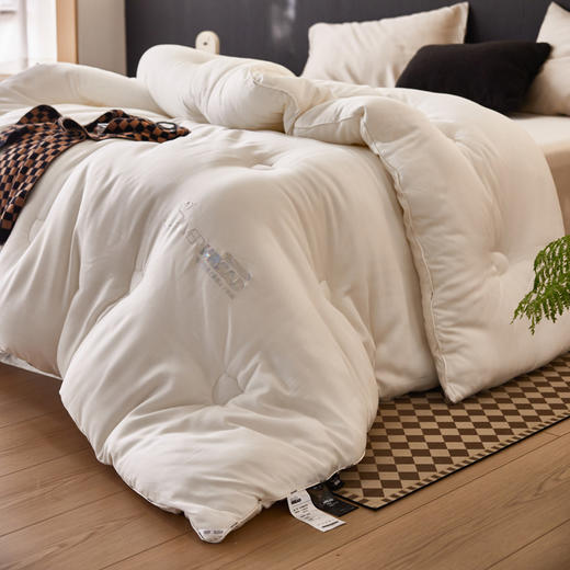 自然醒 SILVER HREAD A类莱赛尔抑菌被100天丝单人春秋被子双人加厚保暖冬季被芯母婴级LFS 商品图14