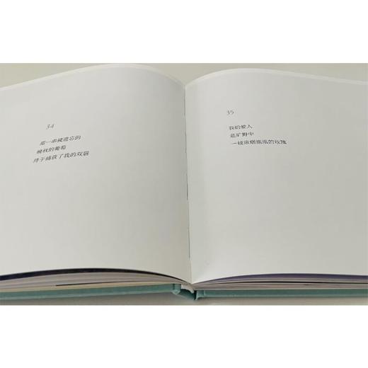 纯粹·我在所有的秘密里爱你(蓝蓝) 商品图3