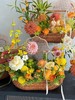 法式横把水果花篮 商品缩略图2