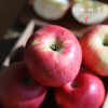 沙漠有机苹果（基地直发-京东包邮） | 多种规格，来自内蒙古赤峰，生产者：倪铁军【合作生产，公平贸易】 商品缩略图1