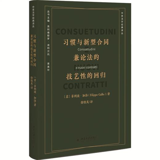 习惯与新型合同：兼论法的技艺性的回归(菲利波 加洛 著) 商品图1