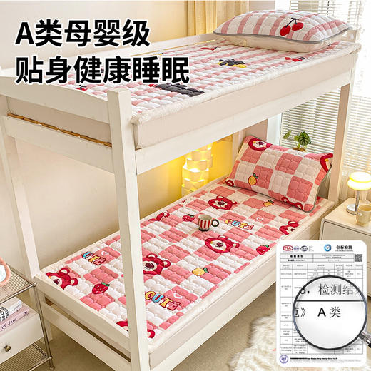 爆款加厚牛奶绒床垫学生宿舍夹棉床褥子垫榻榻米冬季保暖软垫批发 商品图1