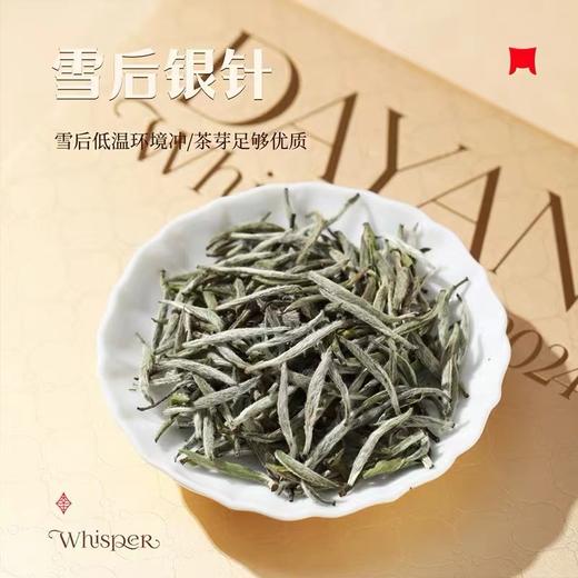 福鼎白茶 | 一叶九鼎 2024年 大洋轻语 针针日上 白毫银针礼盒100g（5*20泡） 商品图1