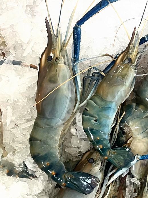 春鲜就吃淡水虾【罗氏虾】头膏最满时，可以媲美大闸蟹膏的美味！ 商品图0