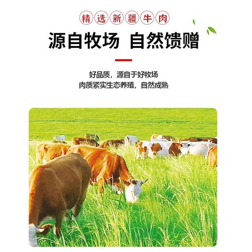 西域勇士爆汁牛肉 源自天堂草原新疆 口感细腻 商品图2