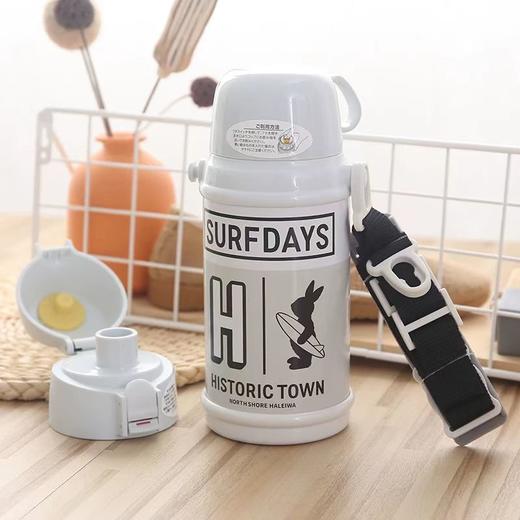 日本Haleiwa哈雷蛙双盖保温杯600ml 直饮盖＋中枢盖(三种颜色） 商品图1