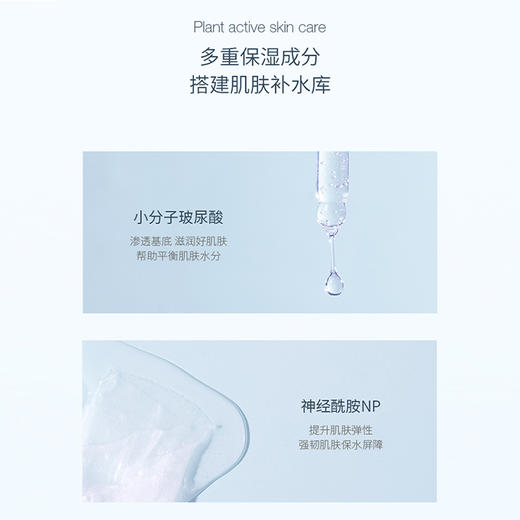 【限时特价】半亩花田盈润保湿面膜25ml*10片   5盒 商品图6