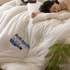 自然醒 AnTi  biosis A类控温抑菌被莫代尔整张防螨低敏纤维被单双人春秋被加厚保暖冬被芯LFS 商品缩略图11