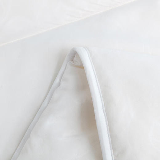 罗莱  大豆防螨抗菌柔丝冬被Ⅱ200*230cm 商品图3