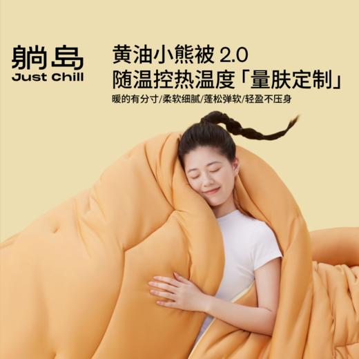 躺岛黄油小熊被2.0春秋款加厚款冬春秋冬被芯 商品图4