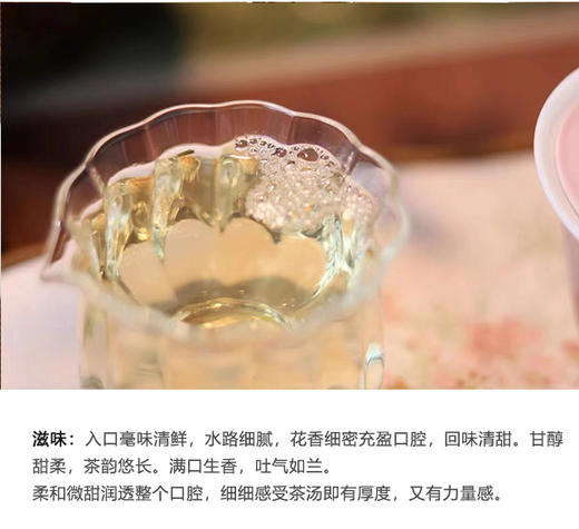 福鼎白茶 | 小城之春 2024年 花香白牡丹 礼盒250g 商品图5