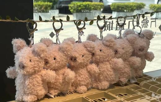 jellycat猪猪挂件~爱不释手的小猪猪~ 商品图3