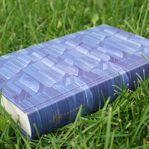 娇惯的心灵：“钢铁”是怎么没有炼成的？（美）格雷格·卢金诺夫、乔纳森·海特 著 商品图2