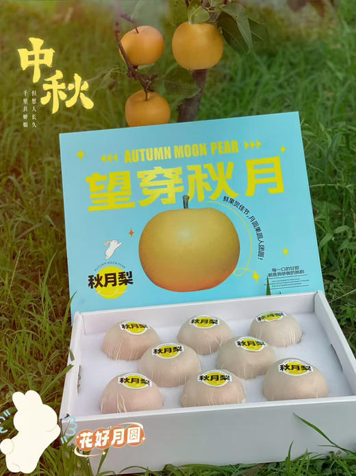 周五配送！秋月梨🍐水分足，秋天的第一口，梨子届的顶级精品！！脆如冰，嫩无渣，口口爆汁不愧是“加了糖的矿泉水”😋甜度13+一切都值得等待🌈规格：5.5斤/箱 商品图6