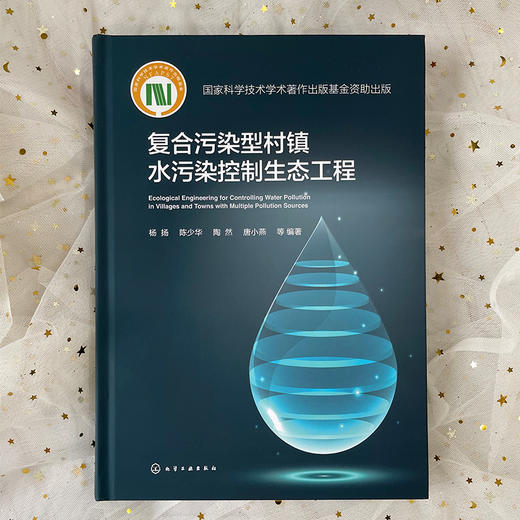 复合污染型村镇水污染控制生态工程 商品图0