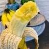 【果蔬精选】高州遁地雷香蕉 产区种植老品种 香味浓 软糯甜 一口下去整个口腔都是恰到好处的香甜软糯 商品缩略图0