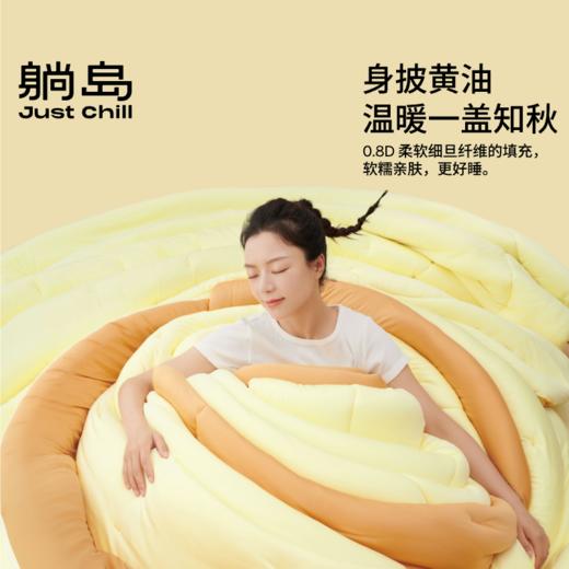 躺岛黄油小熊被2.0春秋款加厚款冬春秋冬被芯 商品图1