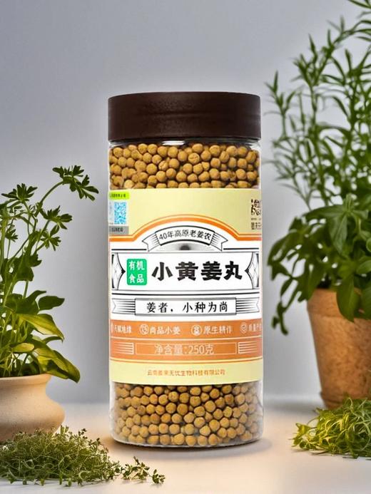 姜来无忧姜丸 两罐装 正宗云南有机小黄姜丸纯姜丸原始点姜丸姜粉生姜丸子 商品图4