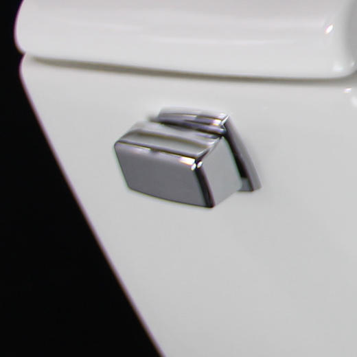 科勒圣拉菲尔一体智简300座便器3722+C3-129 商品图4