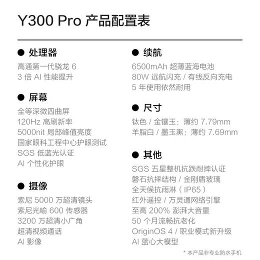 【新品】vivo Y300 Pro  6500mAh超薄蓝海电池 全等深微四曲屏 SGS五星抗摔认证 AI 拍照 手机 商品图1
