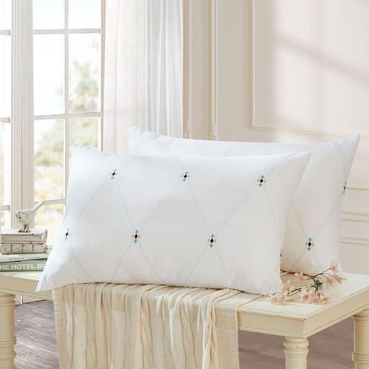 罗莱  依莎抗菌对枕47*73cm 商品图0