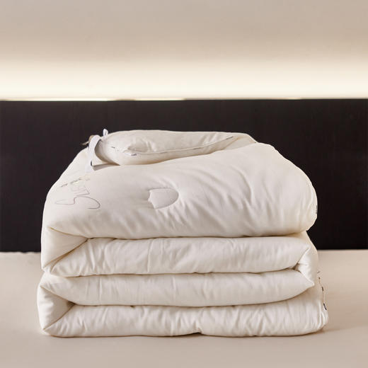 自然醒 SILVER HREAD A类莱赛尔抑菌被100天丝单人春秋被子双人加厚保暖冬季被芯母婴级LFS 商品图12