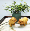 新款猪摆件°黄杨木 商品缩略图3