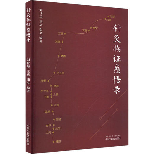 针灸临证感悟录 商品图0