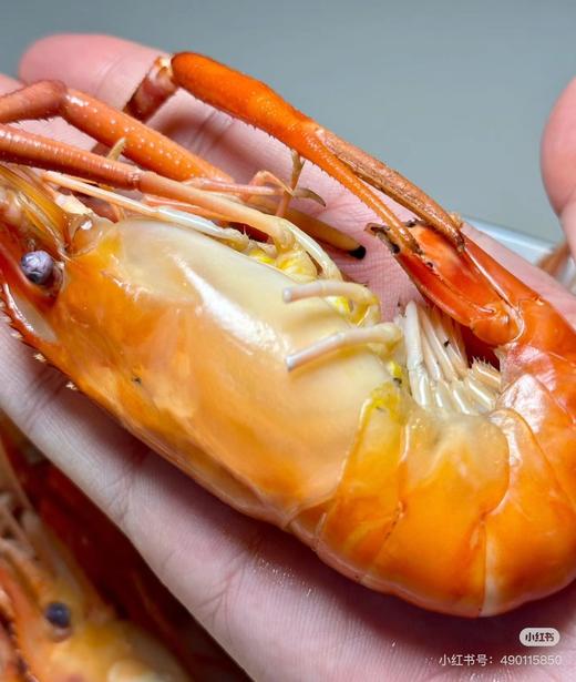 春鲜就吃淡水虾【罗氏虾】头膏最满时，可以媲美大闸蟹膏的美味！ 商品图4