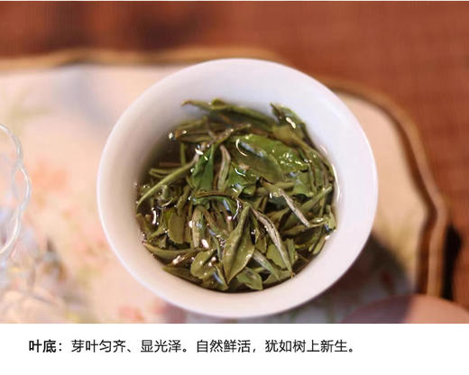 福鼎白茶 | 小城之春 2024年 花香白牡丹 礼盒250g 商品图4