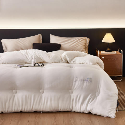 自然醒 SILVER HREAD A类莱赛尔抑菌被100天丝单人春秋被子双人加厚保暖冬季被芯母婴级LFS 商品图2