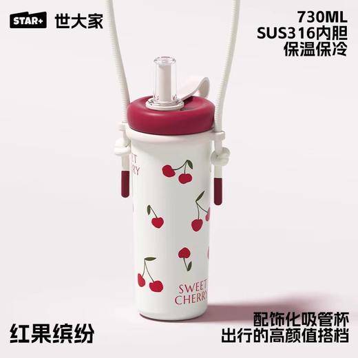 水杯保温杯世大家涂鸦吸吸保温杯730ML 商品图1