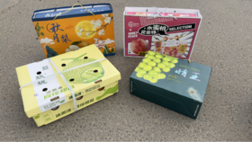 玉兔秋月梨+龙泉驿水蜜桃+冰激凌网纹蜜瓜+晴王葡萄套餐