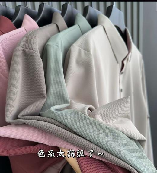 品牌直供罗蒙男士八色翻领POLO衫 商品图13
