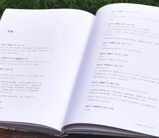 《艺术巨匠 石涛》，小8开，软精装，刘墨著，颂雅风出品，河北教育出版社2014年版，定价138，售价88元。 商品图14