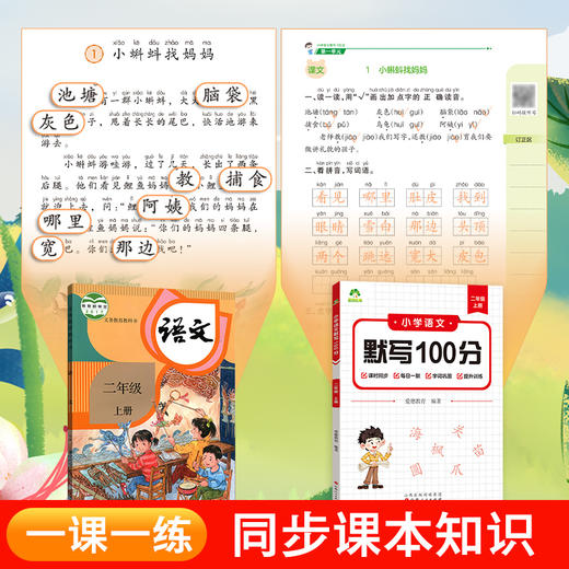 墨点字帖 2024秋新版小学语文默写100分能力训练二年级上册 人教版小学生同步默写练习本生字生词默写教辅看拼音写词语(爱德教育) 商品图1