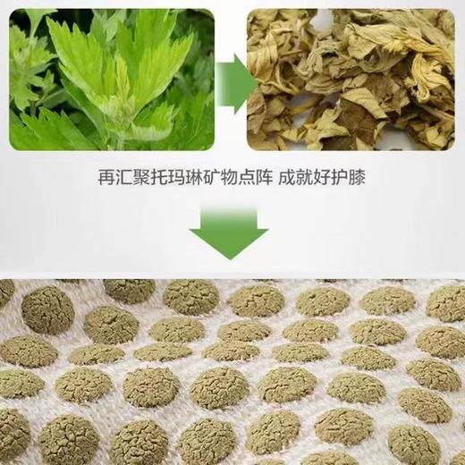 【预售】CY艾草护膝一对 商品图1