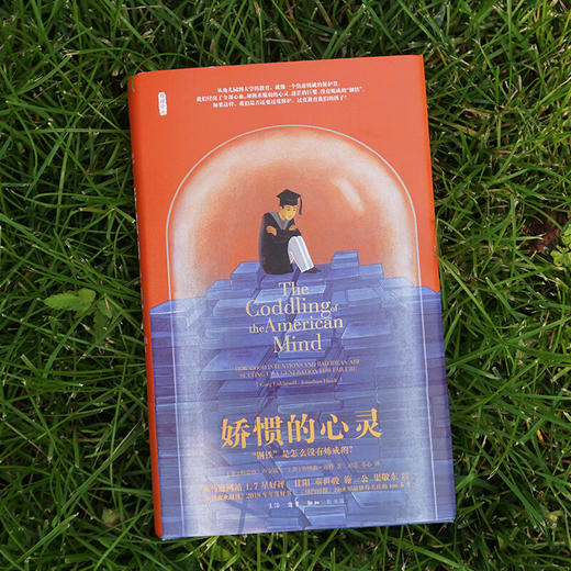 娇惯的心灵：“钢铁”是怎么没有炼成的？（美）格雷格·卢金诺夫、乔纳森·海特 著 商品图1