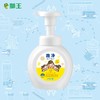 狮王趣净泡沫抑菌洗手液250ml（天然柠檬香） 商品缩略图0