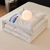 自然醒 AnTi  biosis A类控温抑菌被莫代尔整张防螨低敏纤维被单双人春秋被加厚保暖冬被芯LFS 商品缩略图13