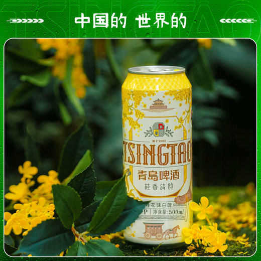 【全国仓】青岛啤酒 桂花味白啤9度500*3*4牛卡包提盒装罐啤 商品图2